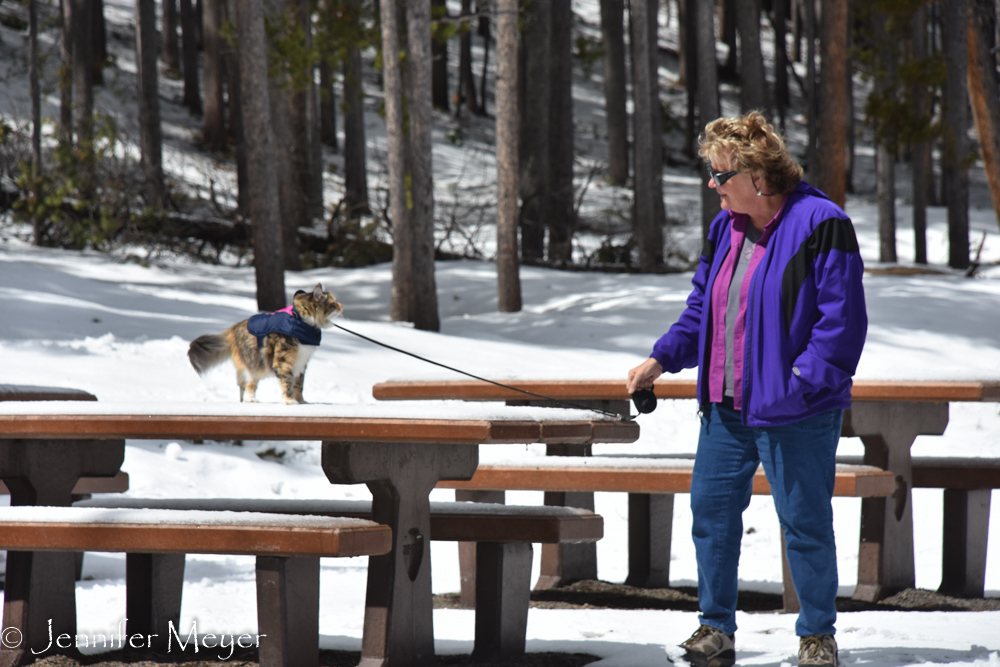 Checking out the picnic tables.