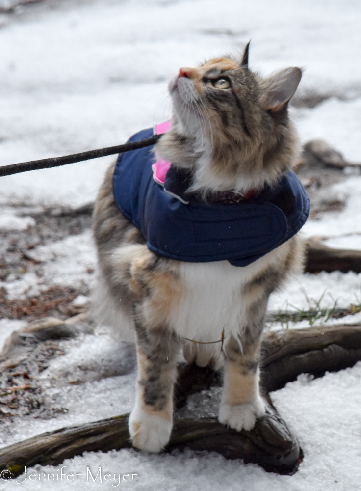 Looking for assurance.