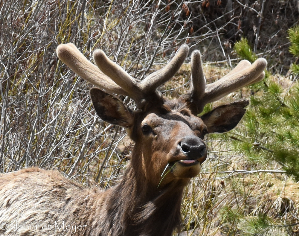 They're so fuzzy and new.