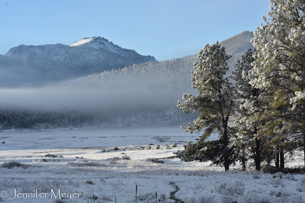 Early the next morning, I woke up to this.