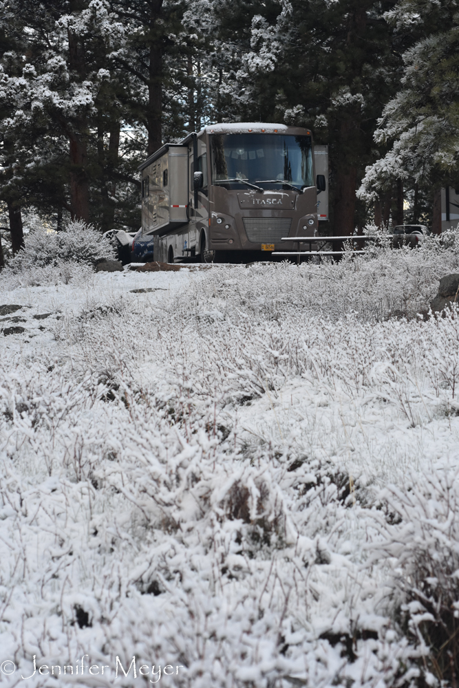 I went out for another walk.