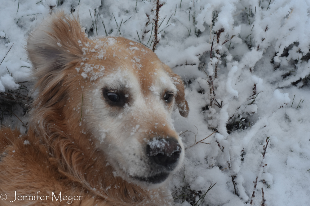 Bailey was thrilled.