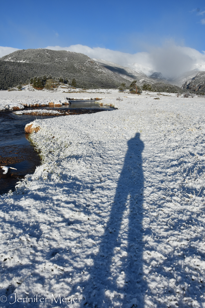 Tall morning shadow.