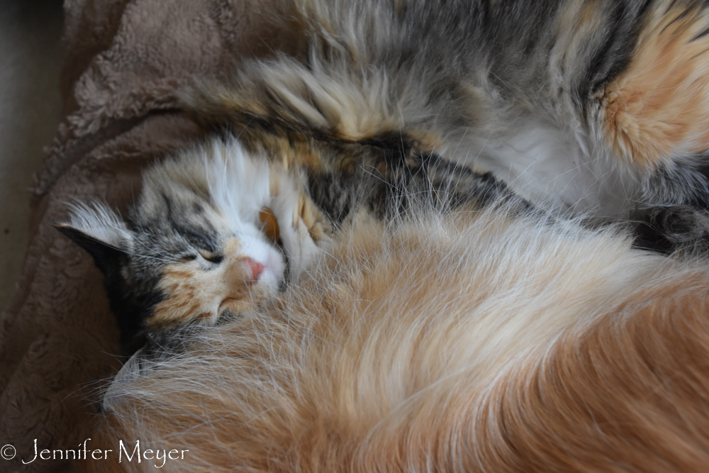 The kids were oblvious.