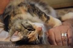 She prefers being cozy inside.