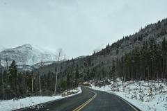 Later that day, we drove to Bear Lake.
