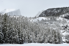 So beautiful after the recent snow.