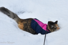 "I could die in this stuff!"