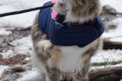 Looking for assurance.