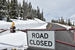 The road is open for walking and biking only.