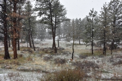 We got about an inch of snow.