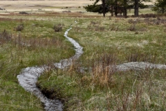 Back at the campsite, the snow had all melted.
