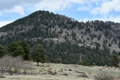 I went for a walk in the meadow below.