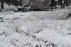 I went out for another walk.