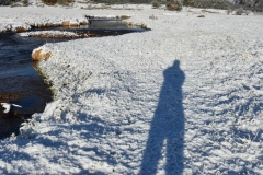 Tall morning shadow.