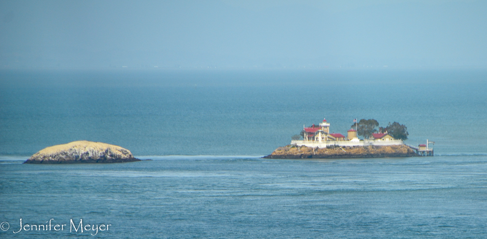 Funny little island in the S.F. Bay.
