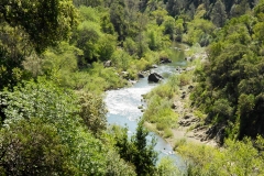 We were right on the Russian River.