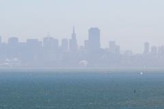 A foggy view of San Francisco.