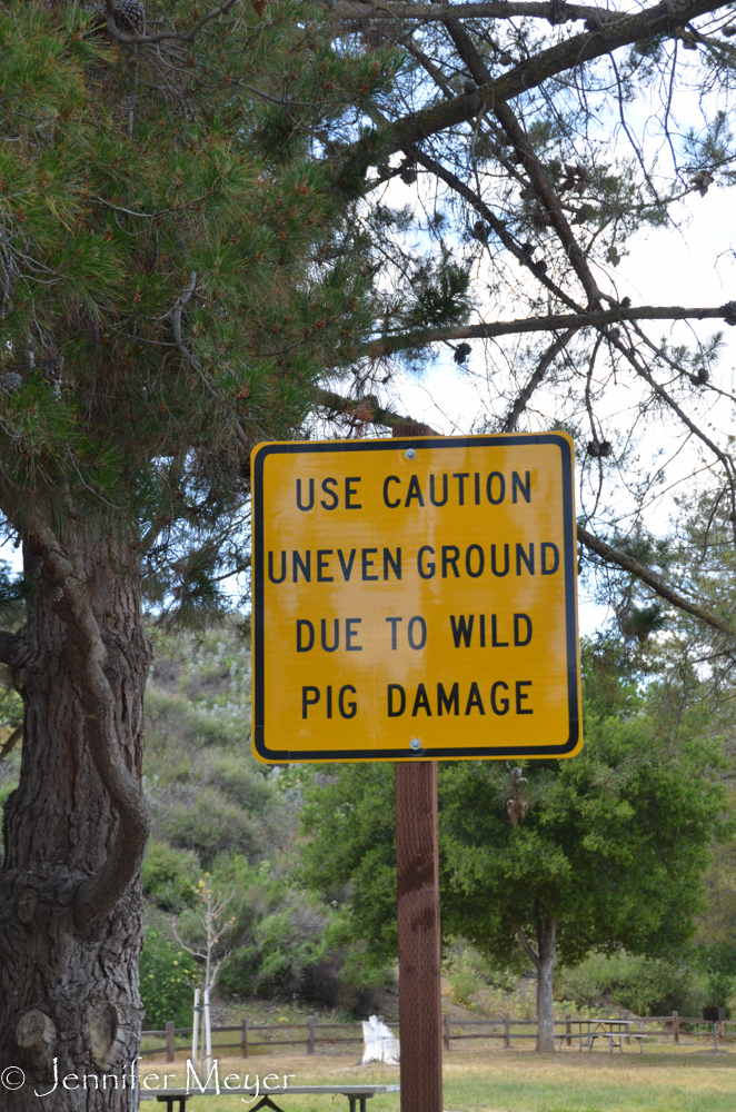 We got a kick out of this sign at a park.
