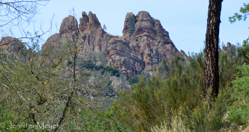 The next day, we drove 25 odd miles to Pinnacles National Park.