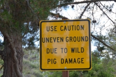 We got a kick out of this sign at a park.