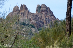 The next day, we drove 25 odd miles to Pinnacles National Park.