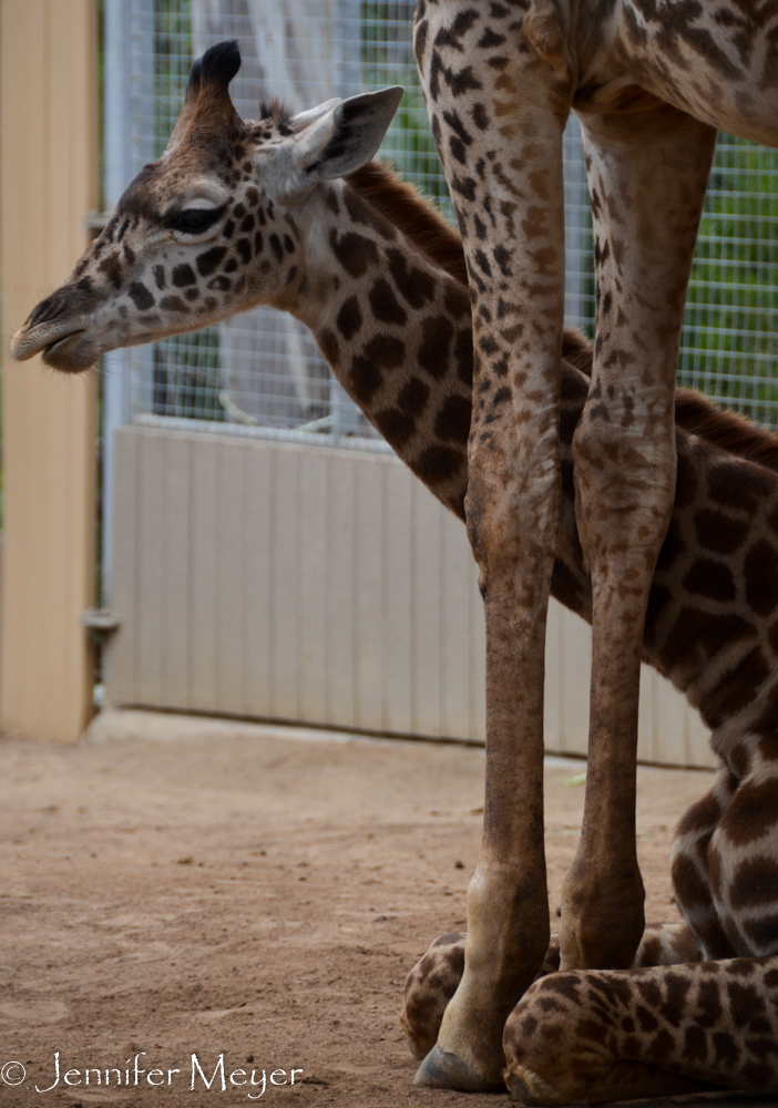 This little one is five months old.