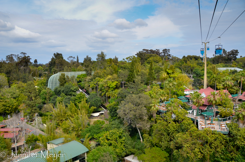 Back in the zoo, we took the air tram from one end of the park to another.