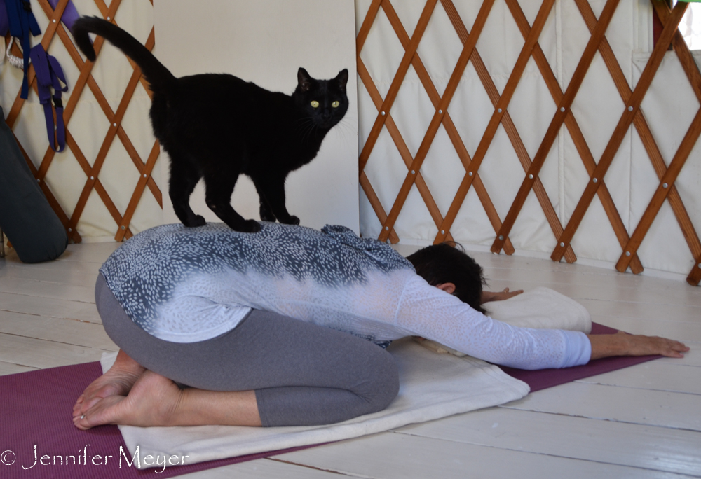 She likes to join Karyn for yoga.