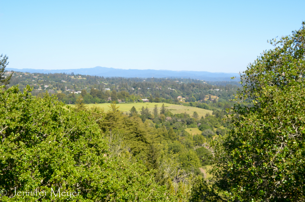 View of Santa Cruz.