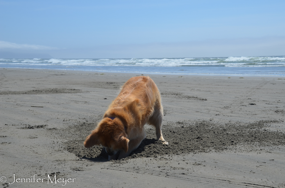 Digging is next best.