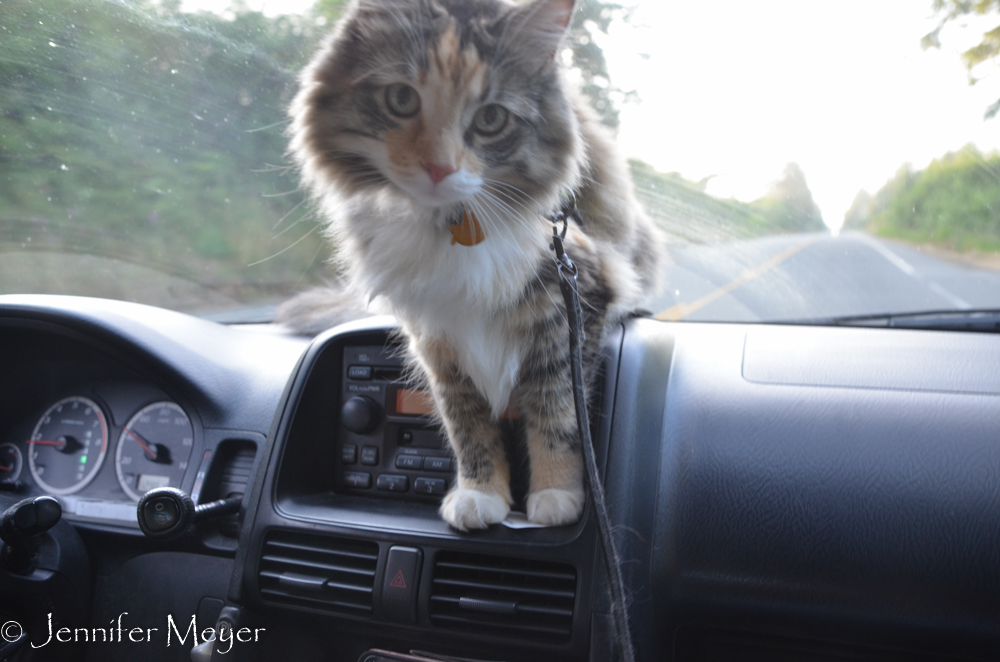 She loves going for rides.