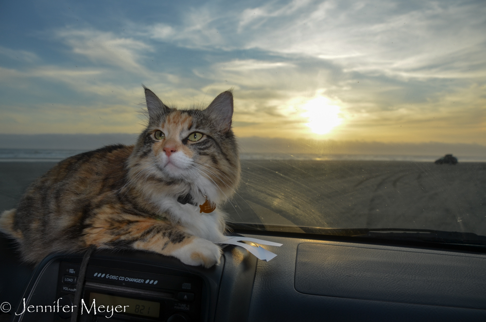 We went back to Sunset Beach for sunset.