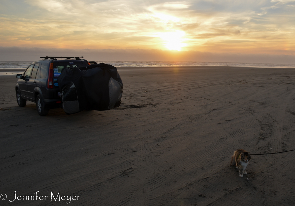 So cool to be able to drive right on the beach.