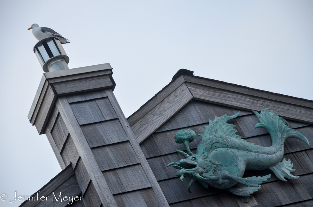 Gull and dragon.