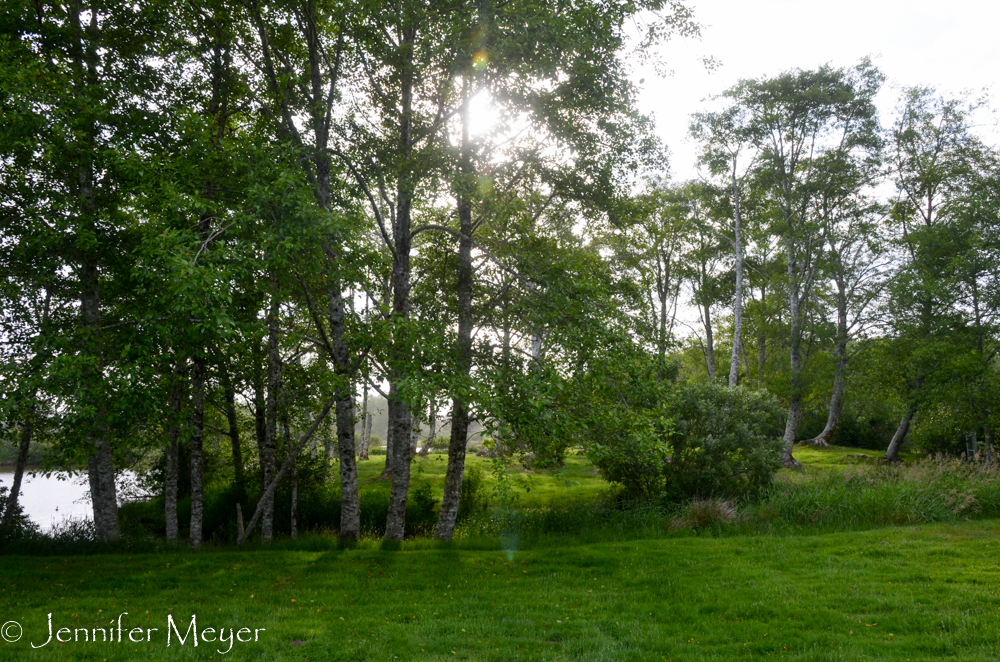 It was a pet island, actually.