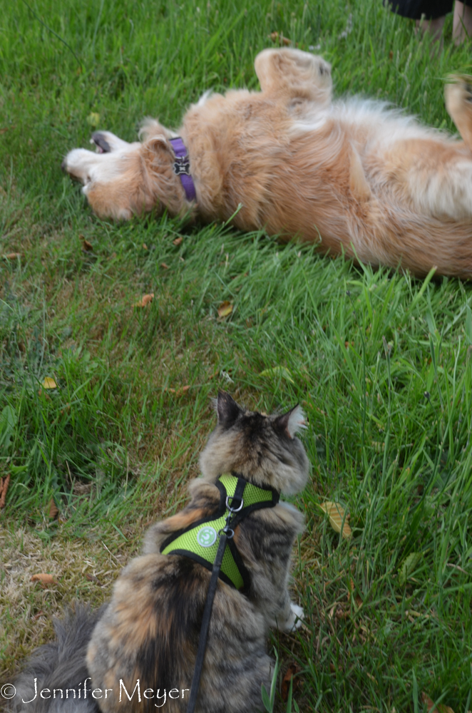 "Why does she always do this?"