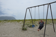 There are swing sets up and down the beach.