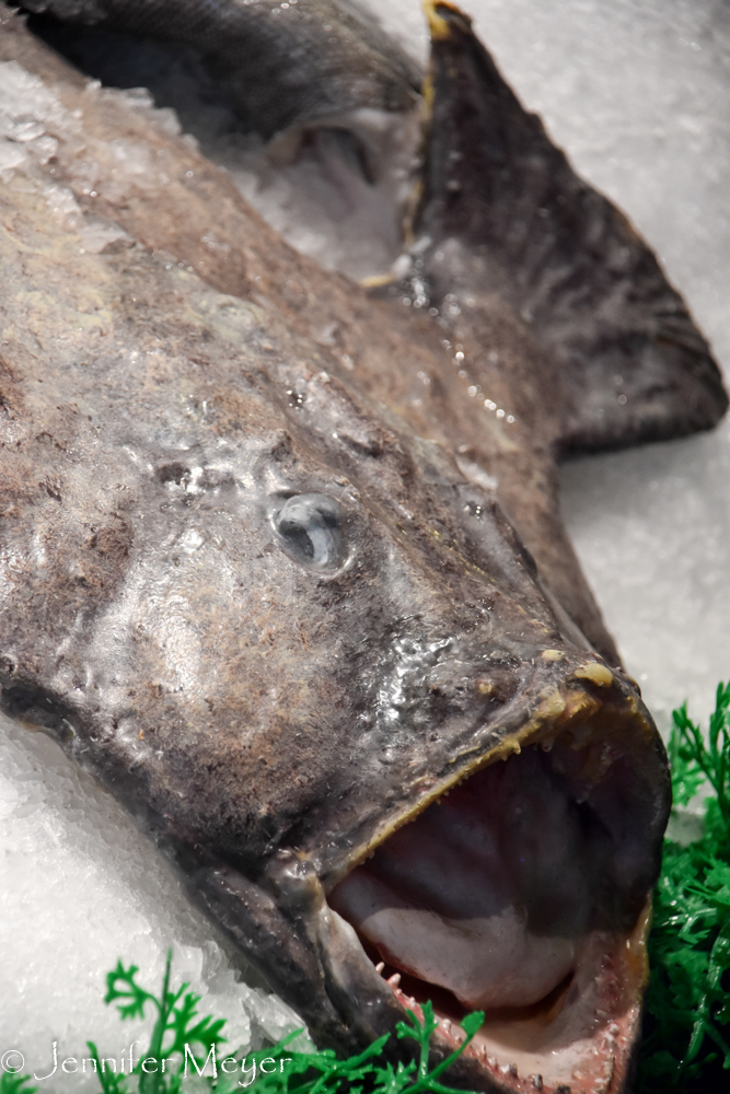 And the monk fish that moves to scare customers.