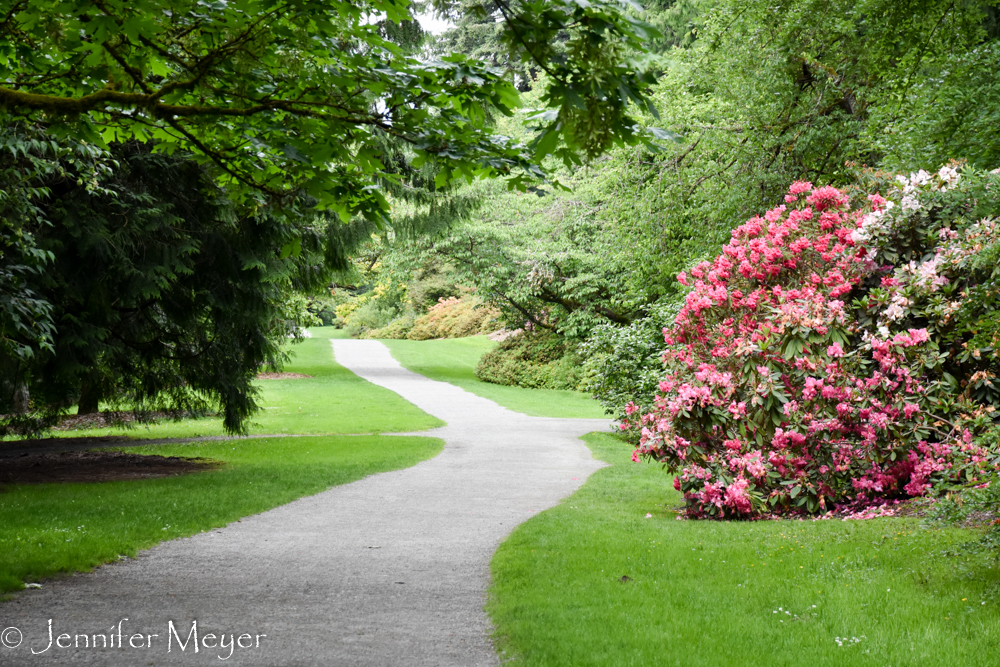 The next day we went to the Arboretrum.