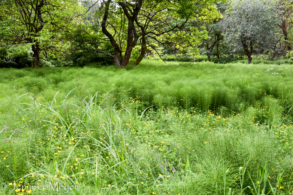 We walked for a mile or two through the beautiful park.