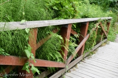 Greens take over a bridge.