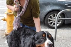 Kate found this dog that reminded us of our pooch friend, Bella, back home.