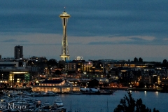 The Space Needle.