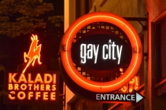 That night, we went back to Gay City for Trans Open Mike.