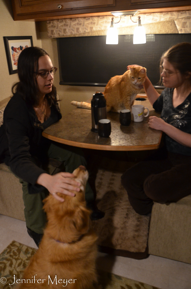 Tobi and Ronan and their cat, Sammy, came for tea.