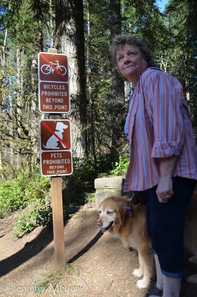 No dogs allowed on the waterfall hike.