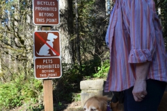 No dogs allowed on the waterfall hike.