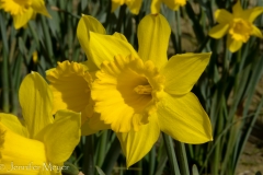 Such a beautiful pre-spring day.