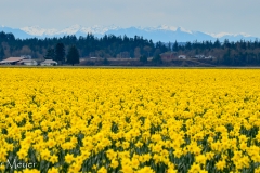 Kate got this shot from the car!